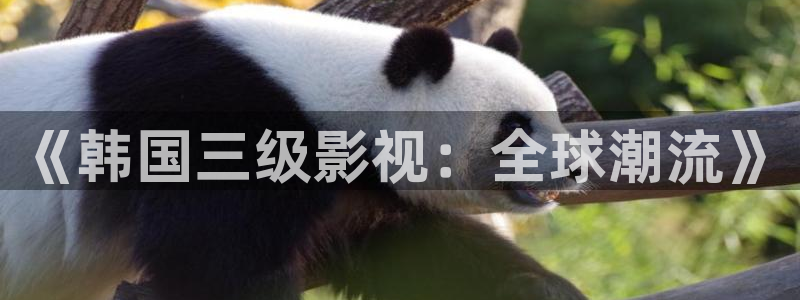 被窝午夜理论影片：《韩国三级影视：全球潮流》