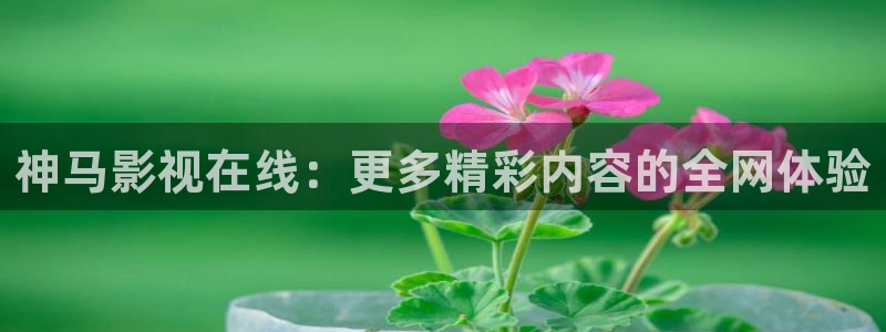 草民电影被窝电影网